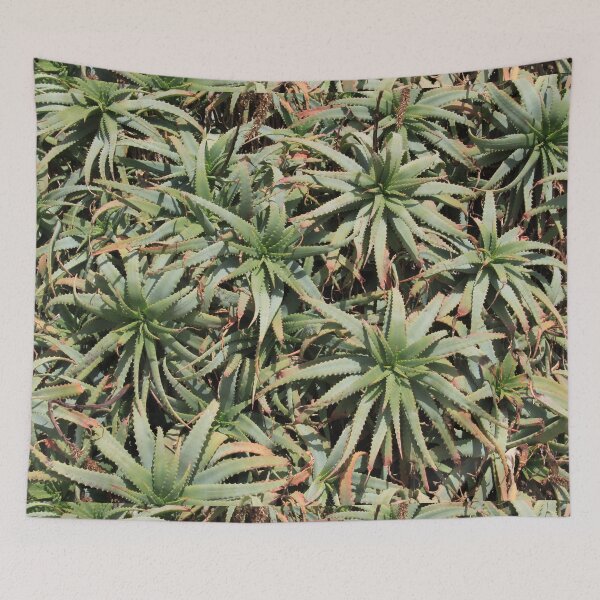 Item preview, Green succulent cabbage indoor plants designed and sold by EstelleRossetti.