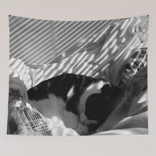 Item preview, Black and White Cat on Bed  designed and sold by selfdevelopment.