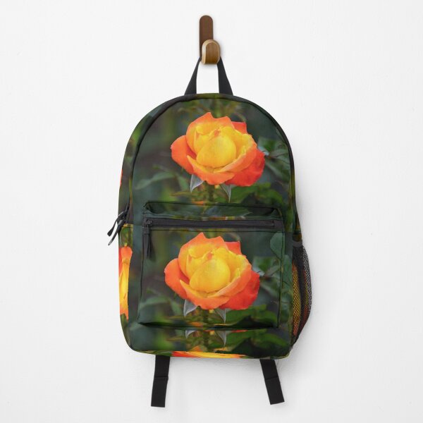 Item preview, Flaming Orange and Yellow Rose  designed and sold by ReneeKennedy.