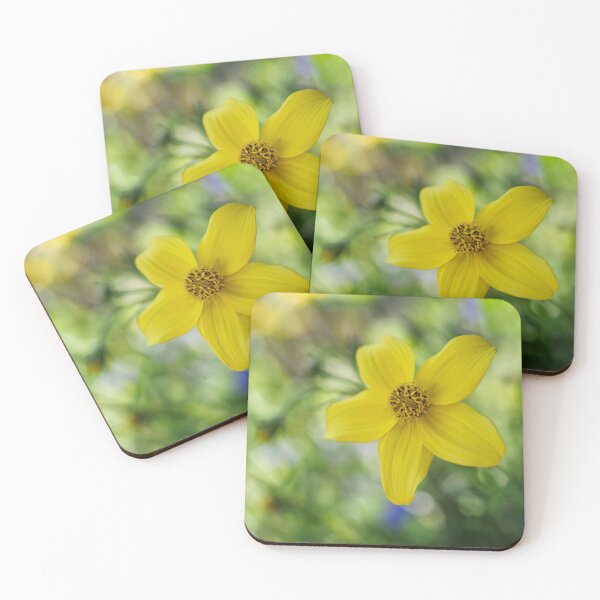 Item preview, Bidens designed and sold by John Ray.
