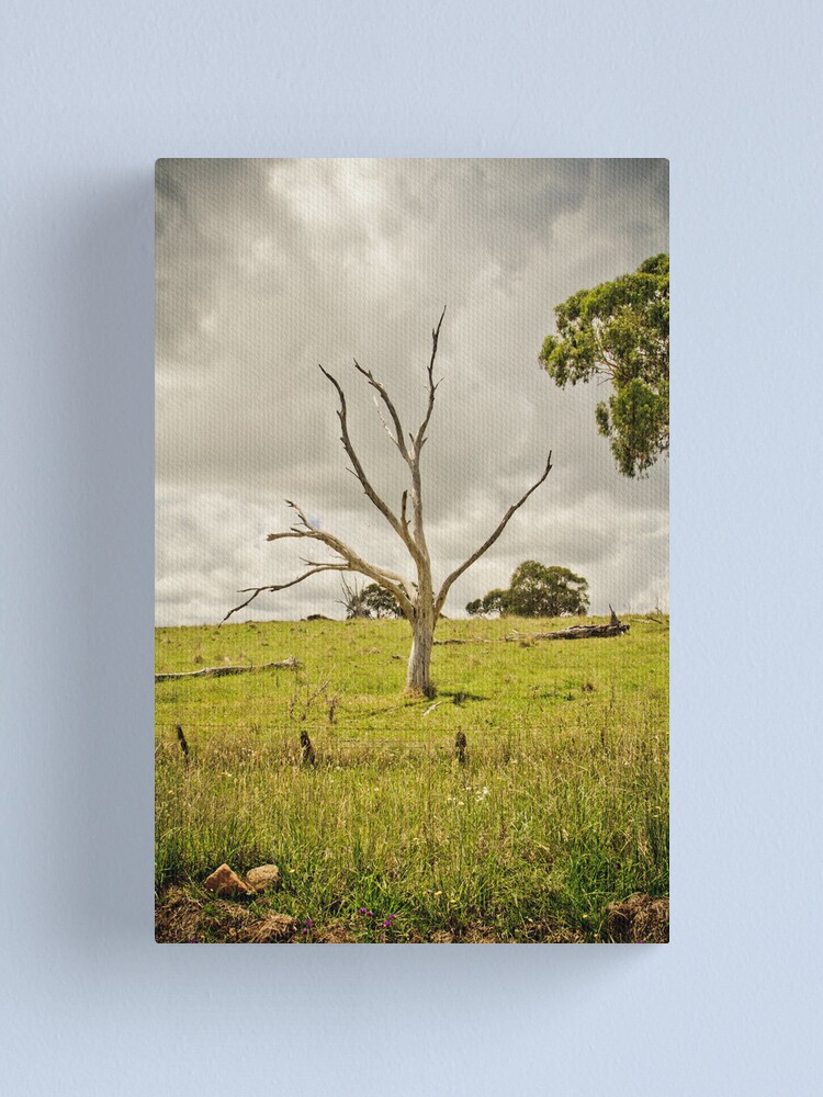 Alternate view of The Circle of Life Canvas Print