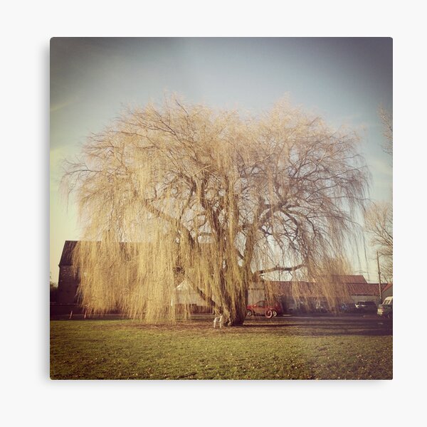 Item preview, Willow tree designed and sold by Robert Steadman.