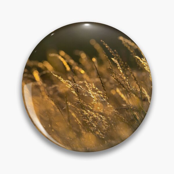 Item preview, Pastos de verano 2 designed and sold by Alan Copson Pictures.
