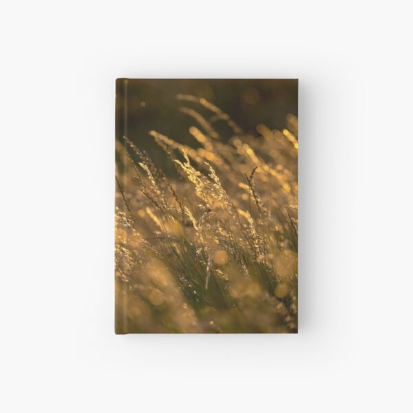 Summer Grasses 2 Hardcover Journal