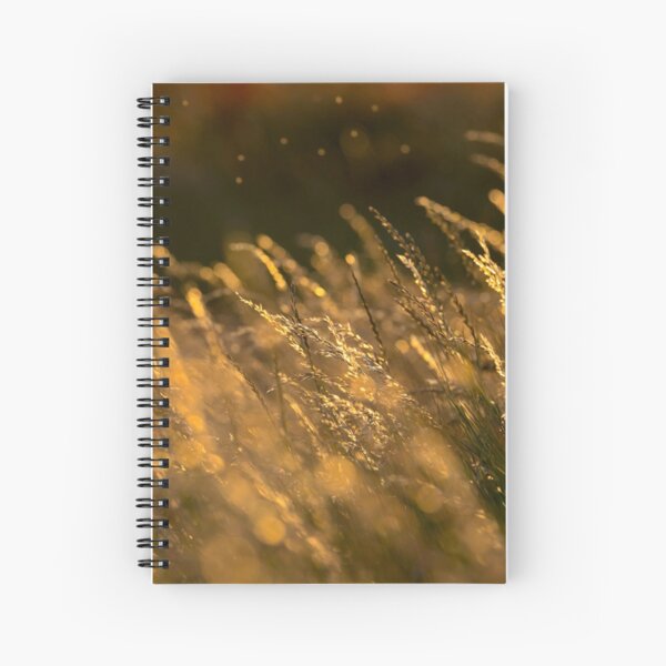 Summer Grasses 2 Spiral Notebook