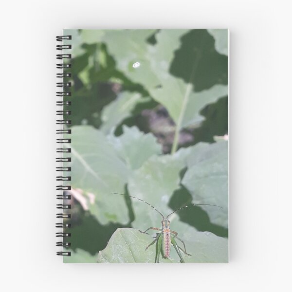 Aperçu de l'œuvre Petit ami du jardin créée et vendue par Sunflowerwild.