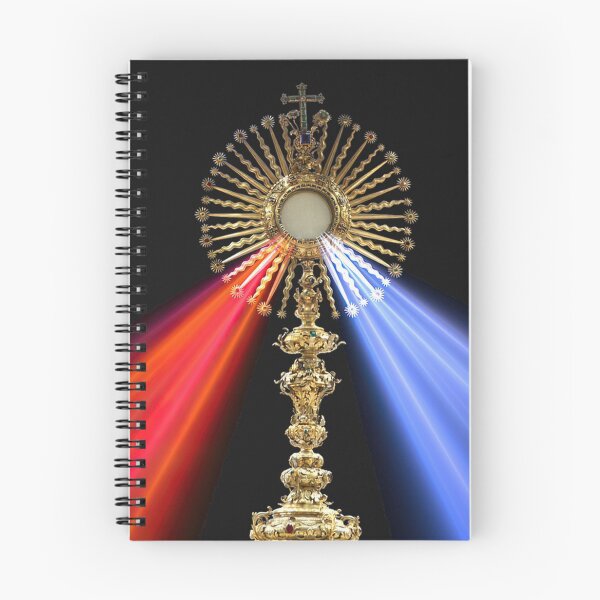 Item preview, Jesus Divine Mercy Eucharist Holy Host Mass Sacred Heart of Jesus Catholic Prayer 2010 designed and sold by hispanicworld.