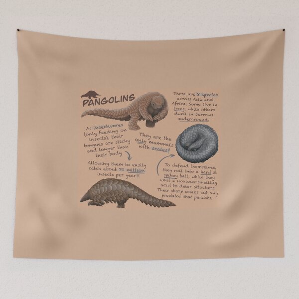 Artikelvorschau, Pangolins Fun Facts entworfen und verkauft von troyanthonyart.