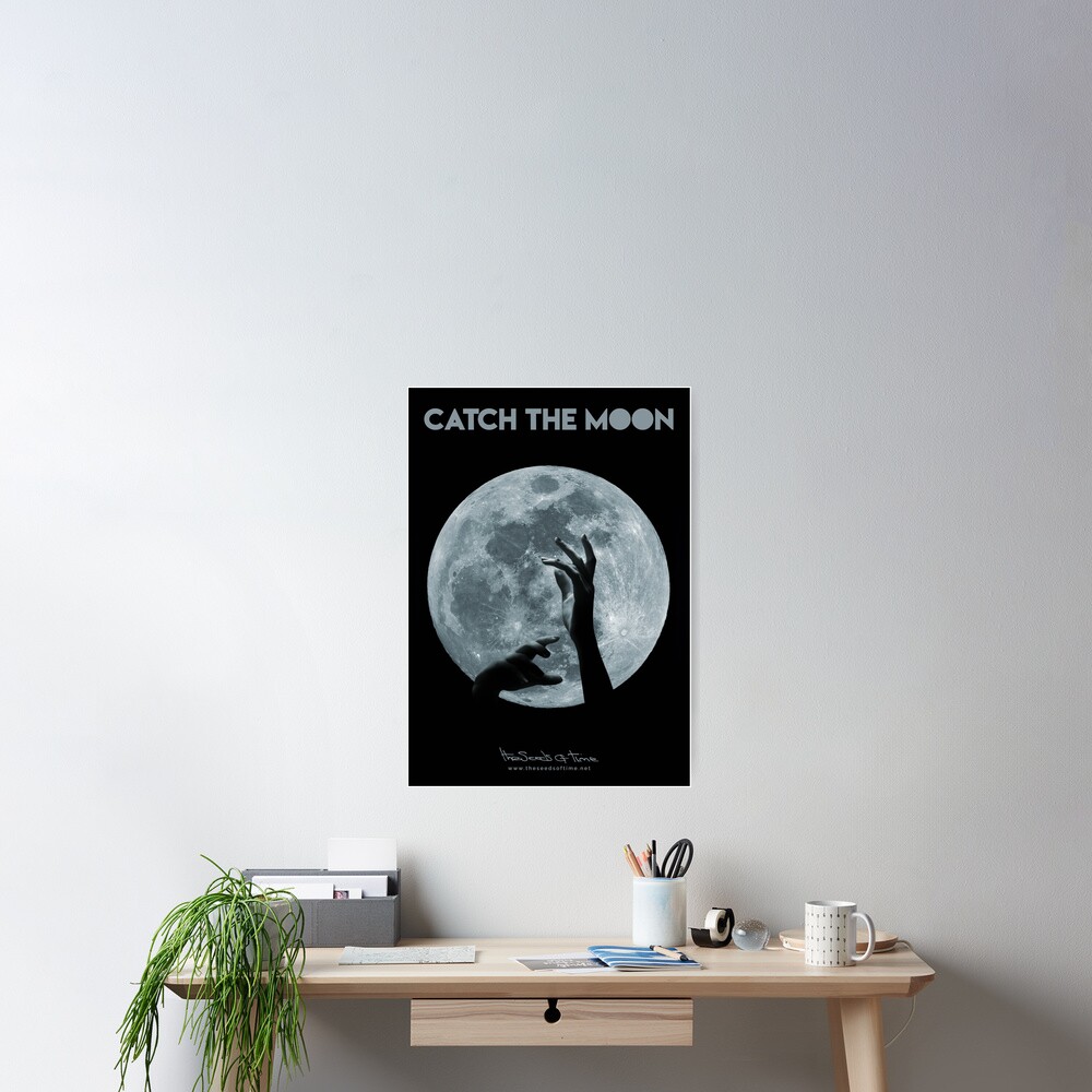 Catch the Moon II Poster