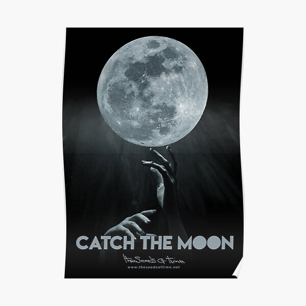 Catch the Moon Poster