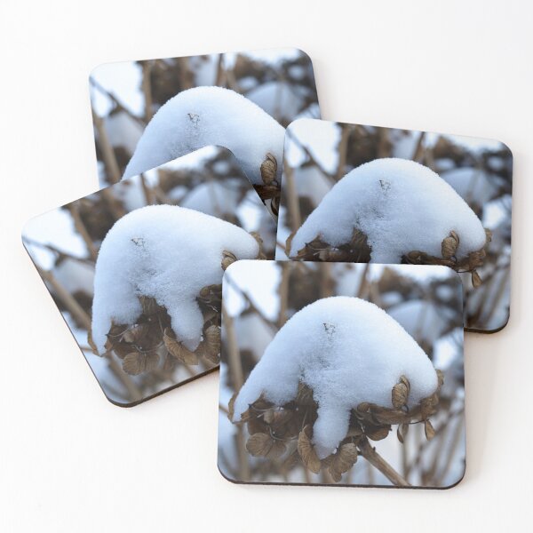 Item preview, Snowy Hydrangea designed and sold by kostolany244.