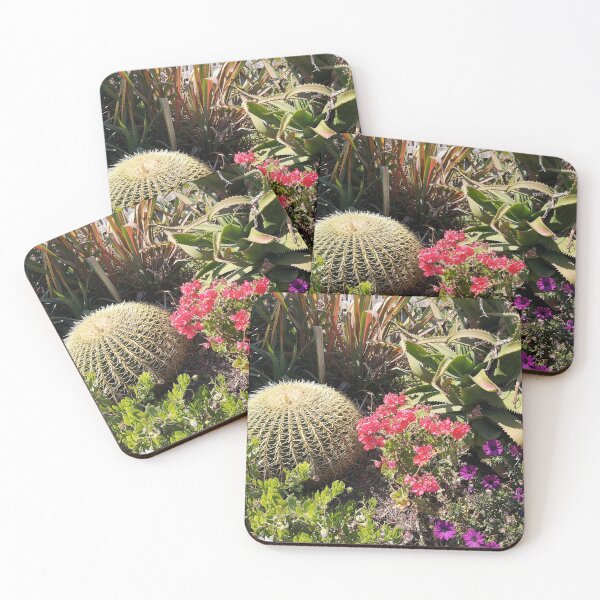 Item preview, Cactus designed and sold by Autographix.