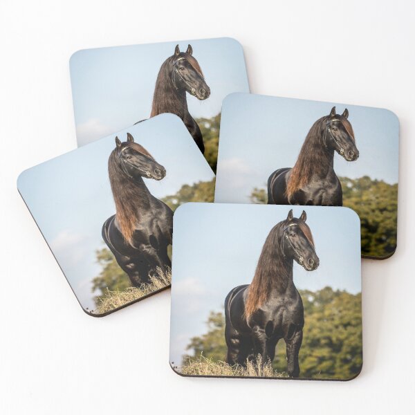 Item preview, The Friesian Experience - Stallion Droomie designed and sold by Blackhorsesltd.