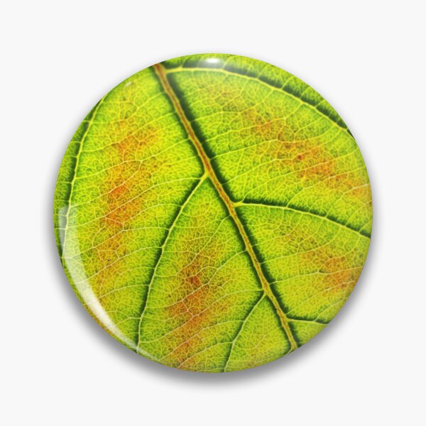 Item preview, Green leaf veins designed and sold by FOLK ART FUSION by heidiannemorris.