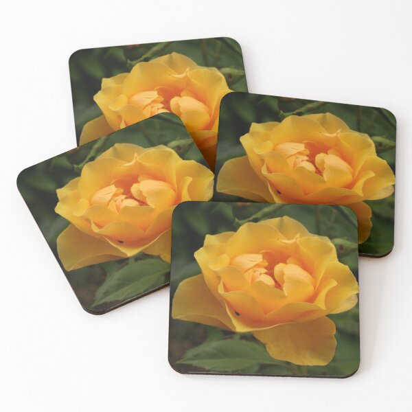 Item preview, A rose is just a rose designed and sold by kostolany244.