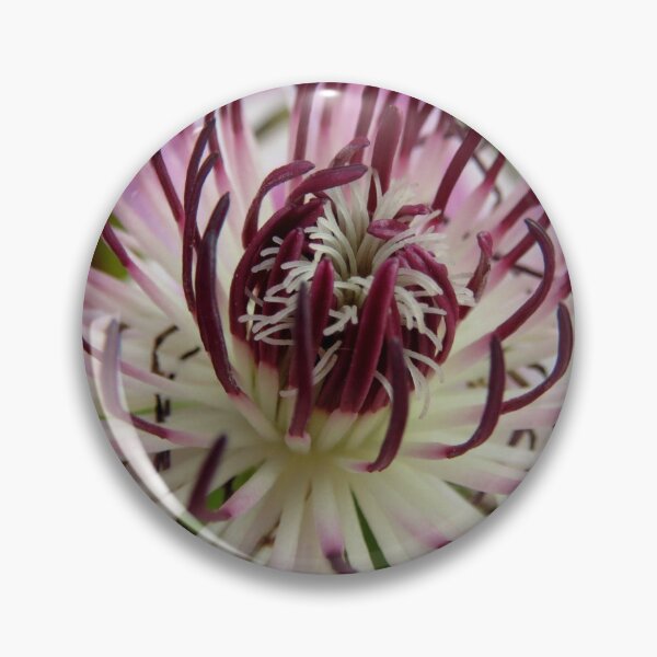 Item preview, Clematis designed and sold by kostolany244.