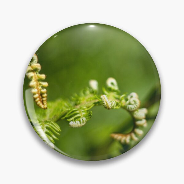 Item preview, A young fern leaf unfolding designed and sold by FOLK ART FUSION by heidiannemorris.