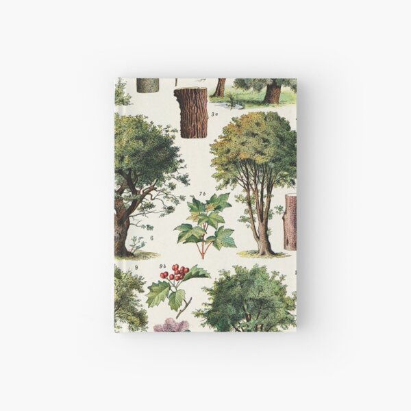 Adolphe Millot - Arbres A - French vintage botanical poster Hardcover Journal