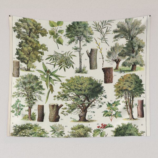 Item preview, Adolphe Millot - Arbres A - French vintage botanical poster designed and sold by DejaVuStudio.