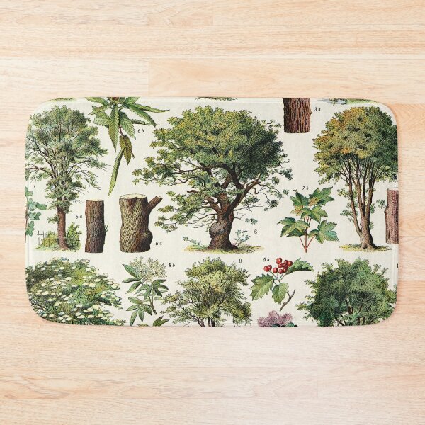 Item preview, Adolphe Millot - Arbres A - French vintage botanical poster designed and sold by DejaVuStudio.
