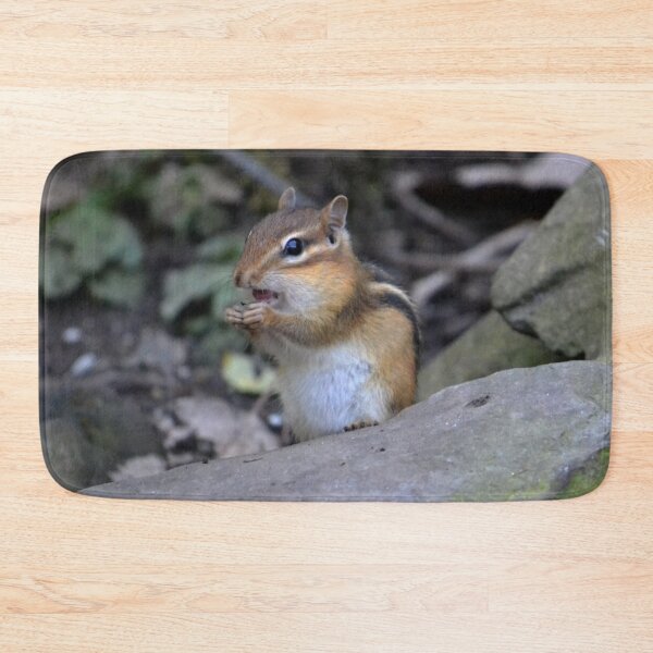 Item preview, Chipmunk Having a Snack designed and sold by ReneeKennedy.