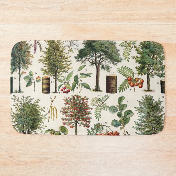 Item preview, Adolphe Millot - Arbres B - French vintage botanical poster designed and sold by DejaVuStudio.