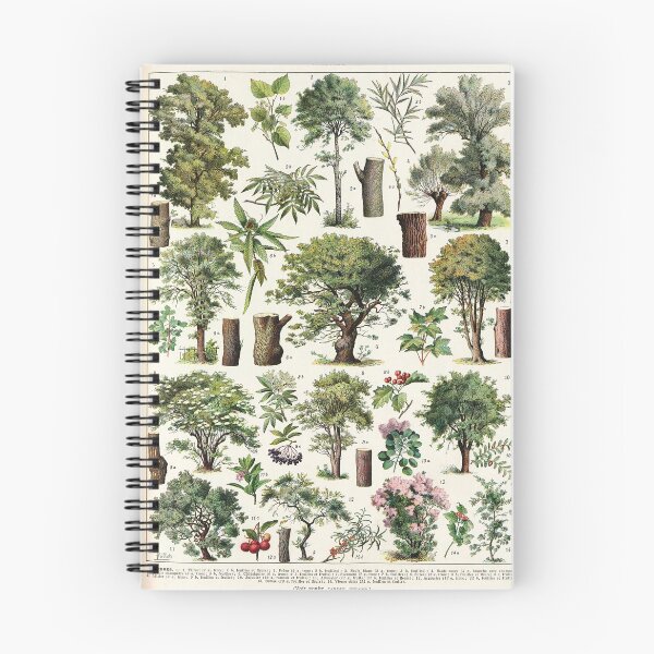 Item preview, Adolphe Millot - Arbres A - French vintage botanical poster designed and sold by DejaVuStudio.