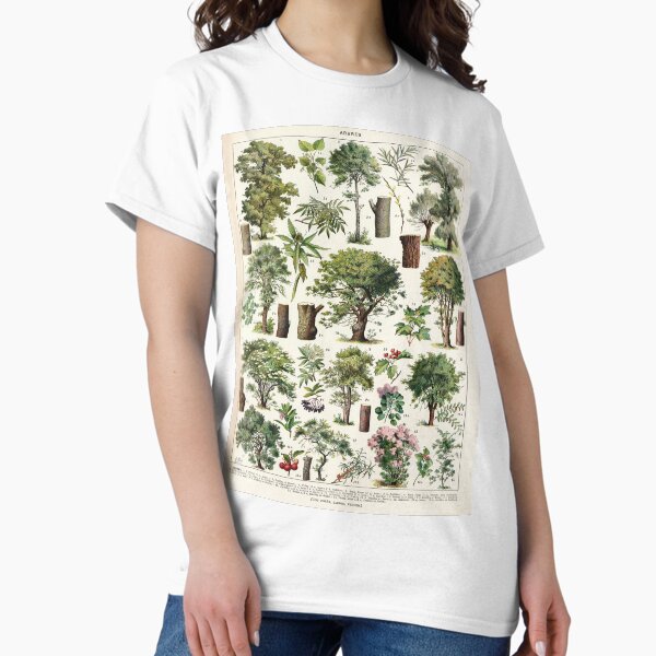 Item preview, Adolphe Millot - Arbres A - French vintage botanical poster designed and sold by DejaVuStudio.