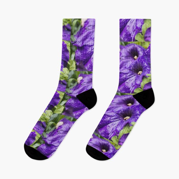 Item preview, Purple Petunia Flowers Nature Seeds Garden designed and sold by TheGreekGuy.