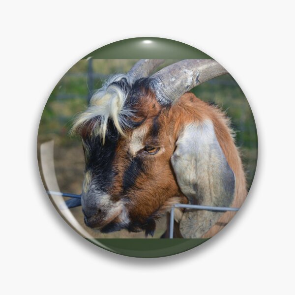Item preview, Billy Goat designed and sold by Savannah Gibbs.