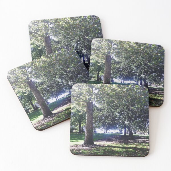 Item preview, A Path Forward, Uplifting Nature Photography by Courtney Hatcher designed and sold by cghatcherart.