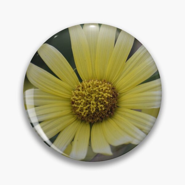 Item preview, Sunny Yellow Daisy designed and sold by ReneeKennedy.