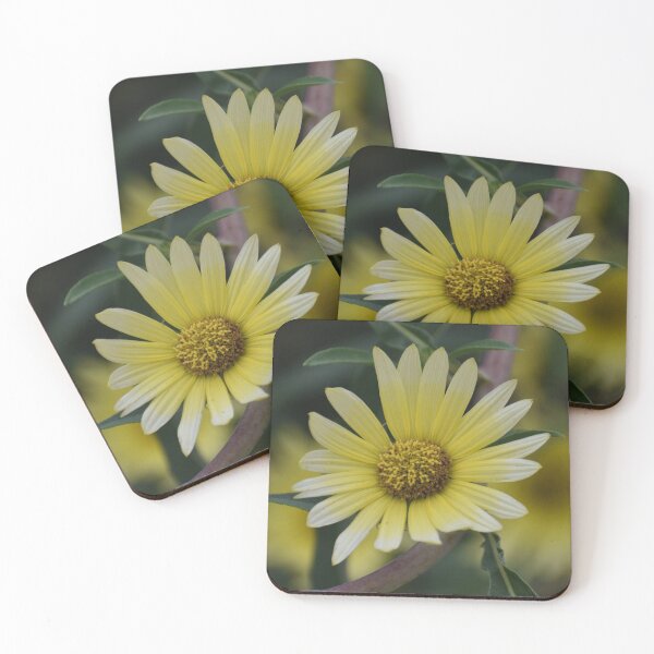 Item preview, Sunny Yellow Daisy designed and sold by ReneeKennedy.