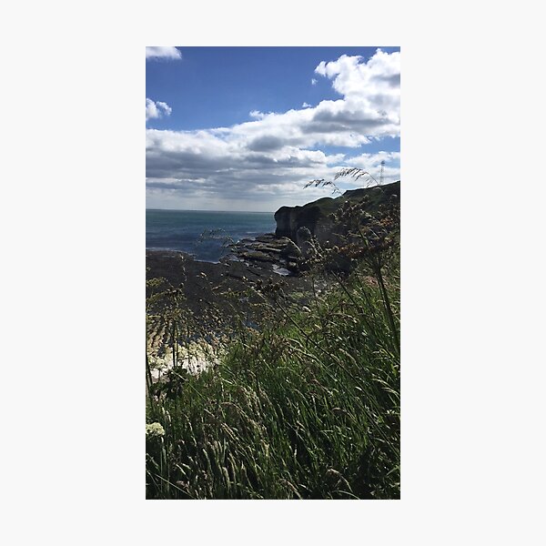 Item preview, Cliffs at Flamborough Head, Yorkshire, England designed and sold by selfdevelopment.