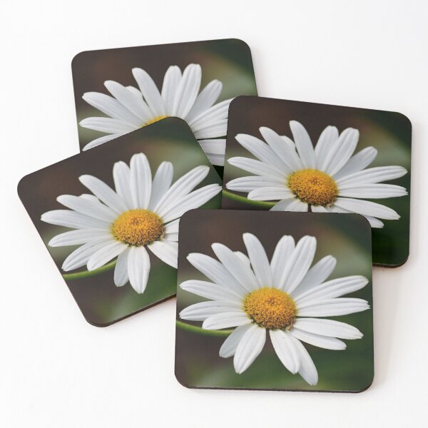 Item preview, Sweet White Daisy designed and sold by ReneeKennedy.
