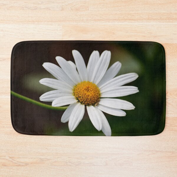 Item preview, Sweet White Daisy designed and sold by ReneeKennedy.