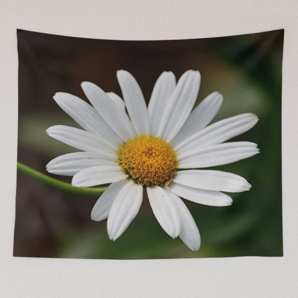 Item preview, Sweet White Daisy designed and sold by ReneeKennedy.
