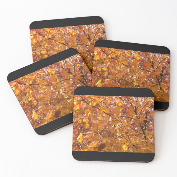 Item preview, Japanese Maple Autumn designed and sold by John N.  Stewart.