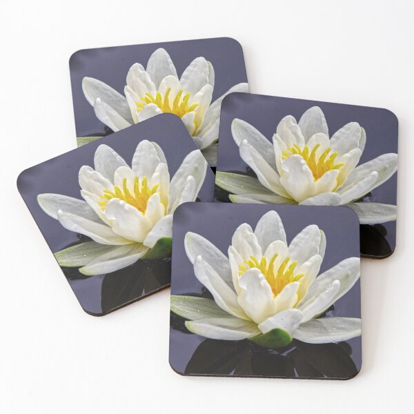 Item preview, Water lily bloom 1 yellow white with water pearls designed and sold by Hubiundhubi.