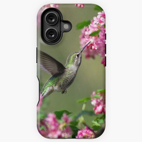 Item preview, Hummingbird designed and sold by Greengate Images.