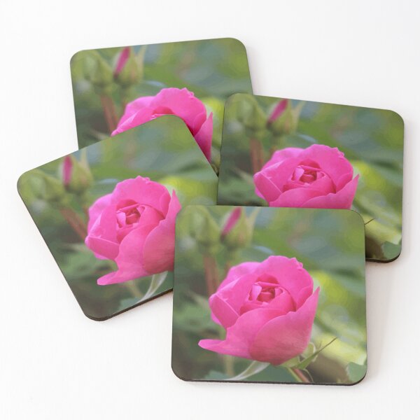 Item preview, Pink Rose designed and sold by Orchyd.