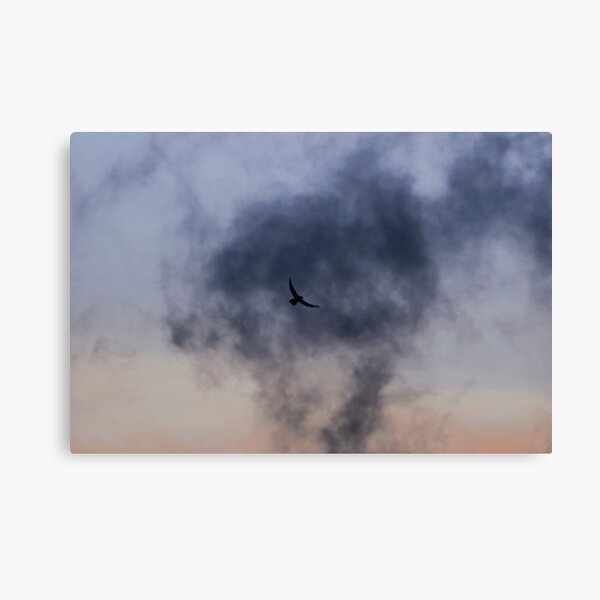Nostalgia | Nature and Landscape Photography Canvas Print