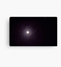 Moonlight through the Trees Canvas Print