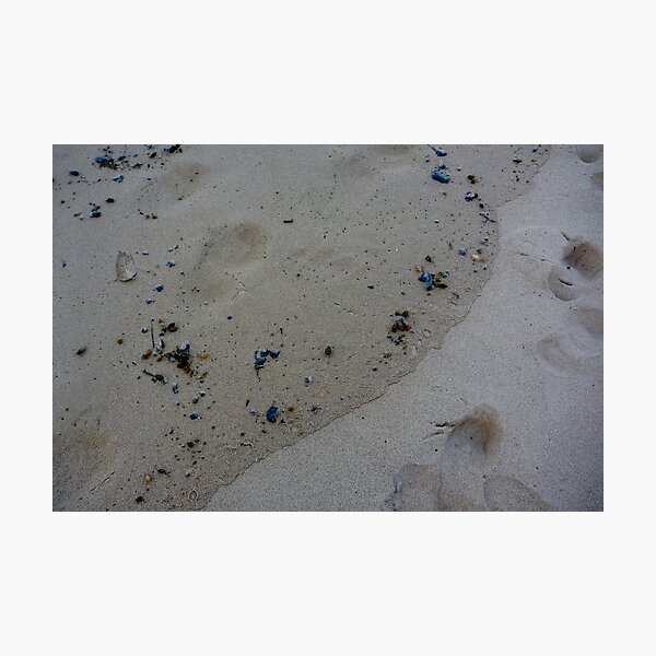 Embroided Sea lace Photographic Print