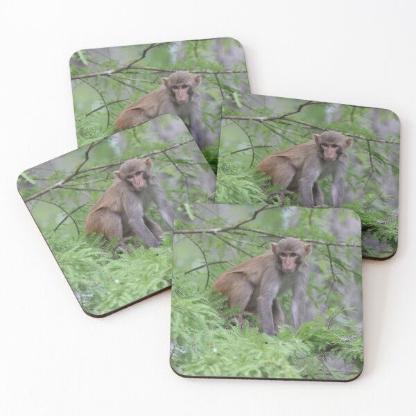 Item preview, rhesus monkey designed and sold by MelKowasic.