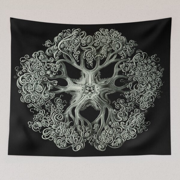 Item preview, Brittle Star by Ernst Haeckel designed and sold by Slydell1.