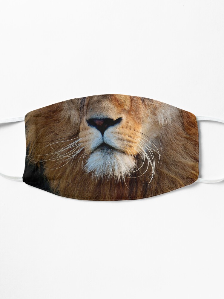 Alternate view of Lion Face Mask Mask