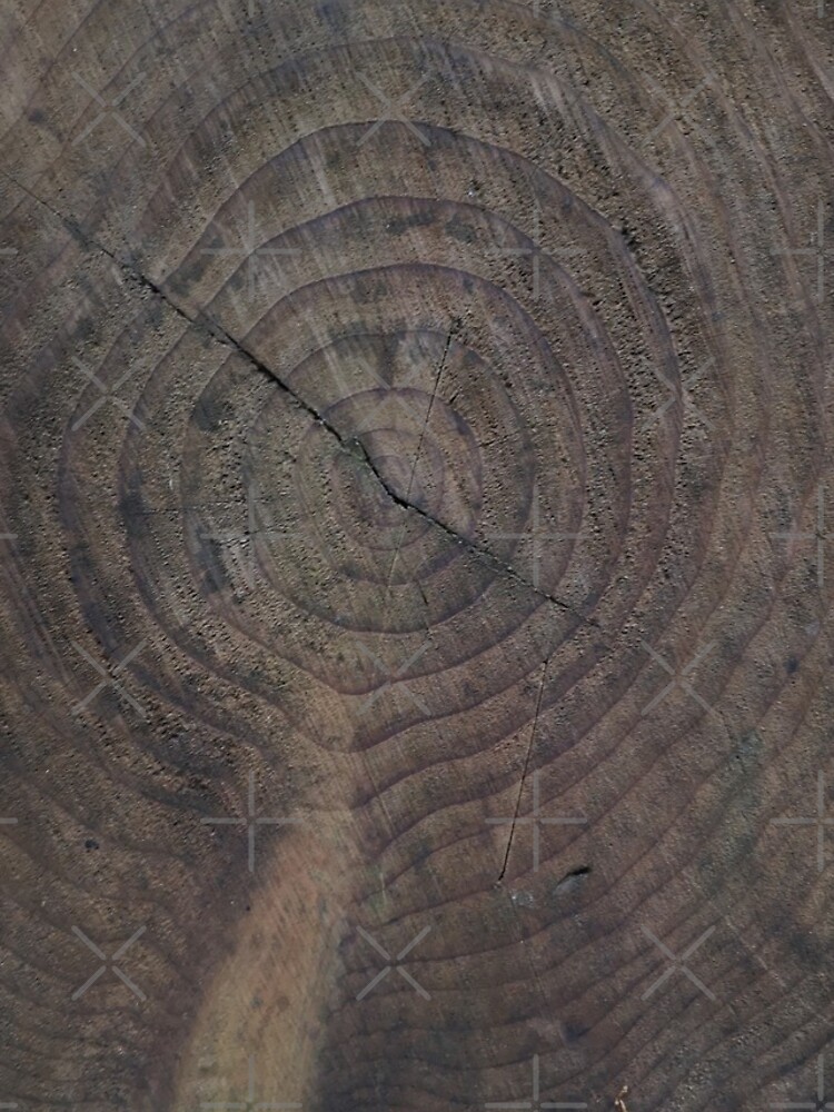 Thumbnail 4 of 4, iPhone Case, Tree Rings designed and sold by Autographix.