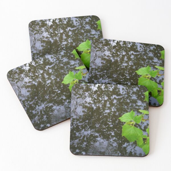 Item preview, after the rain  designed and sold by silviasunflower.