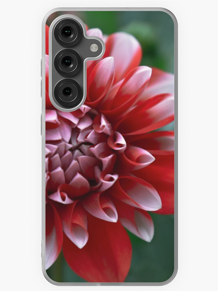 Thumbnail 1 of 4, Samsung Galaxy Phone Case, Red and White Petals designed and sold by DonnaMariePhoto.